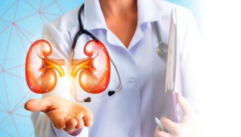 Your Guide to the Best Kidney Transplant Hospital in Bangalore